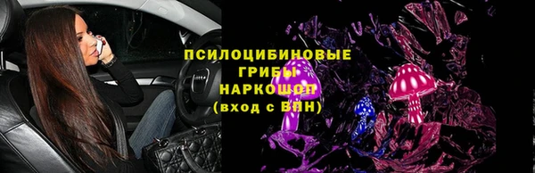 мяу мяу мука Баксан