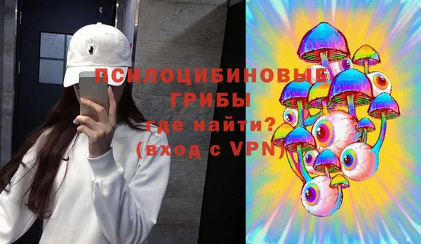 мяу мяу мука Баксан
