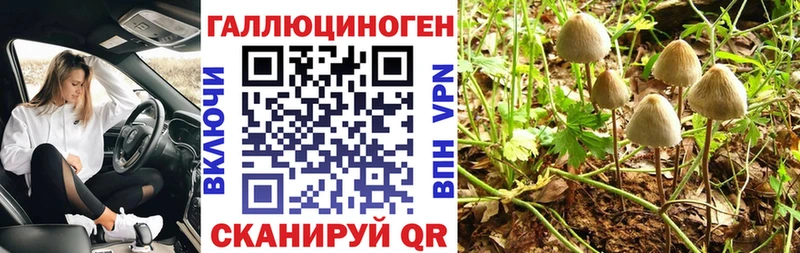 купить наркотики цена  OMG сайт  Галлюциногенные грибы мухоморы  Верхоянск 